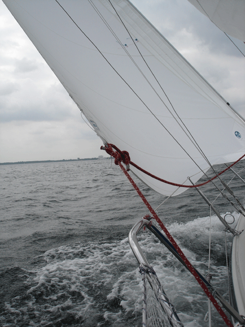 DSC09169_news DSC09169_news