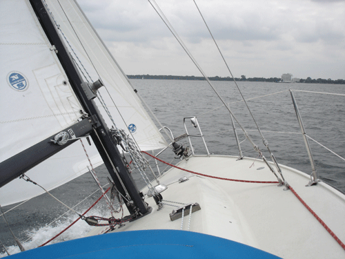 DSC09175_news DSC09175_news