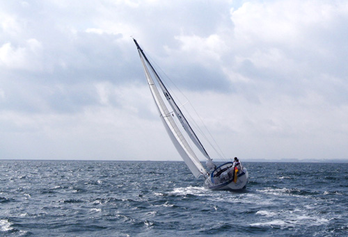 IMG_3429_5 IMG_3429_5