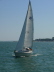 Snigelhus, Maxi 999 003
